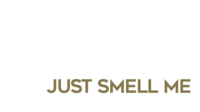 JSM-Λογότυπο